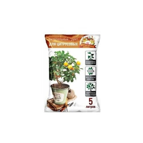 ������ ������ ����� ������ ������ ��� ���������� 5 ������ ����