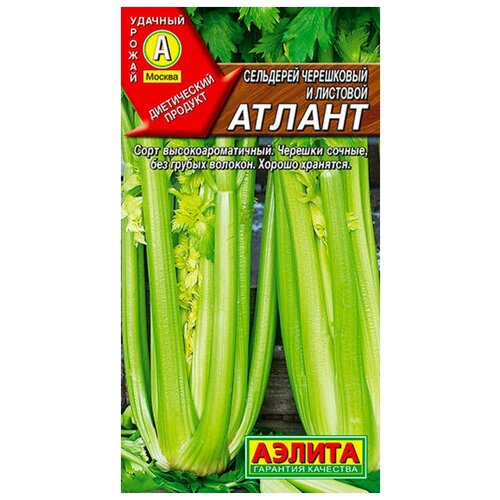 ������ ������ ��������� ���������� 