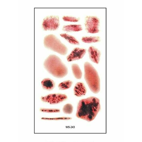 ������ ������ ���������� ��������� ���� ����� � ���� �� �������� / 10 � 6 �� ���� ����