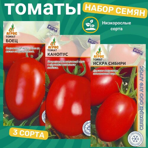 ������ ������ ����� ����� ����������� ������� / ���� , �������, ����� ������ ����