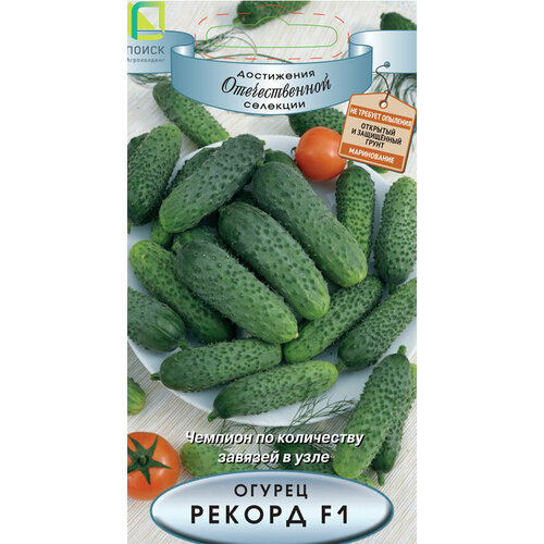 ������ ������ ������ ������ ������ F1 12�� ������������������ ������ (�����) ����