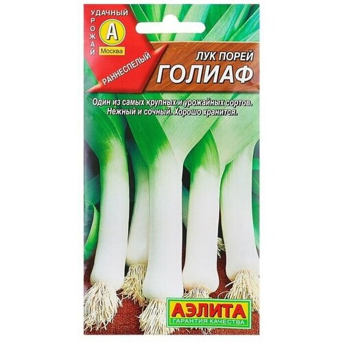 ������ ������ ��� ����� ������ 1�.(������) ����