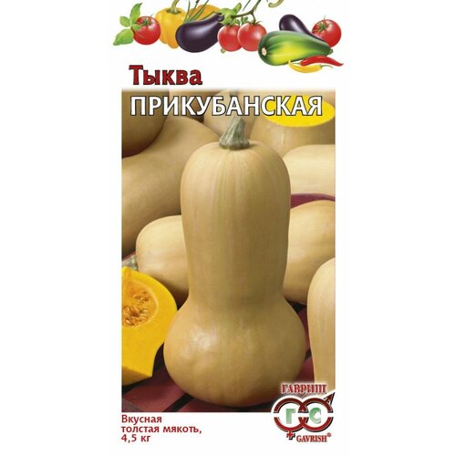 ������ ������ ������ ����� ������������ ��������� 1� (������) ����