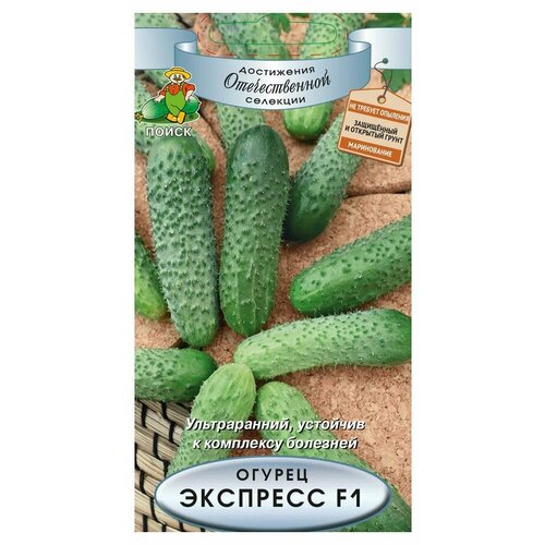 ������ ������ ������ ����� ������ ������� �������� ������ �������� F1 12 ��. ����