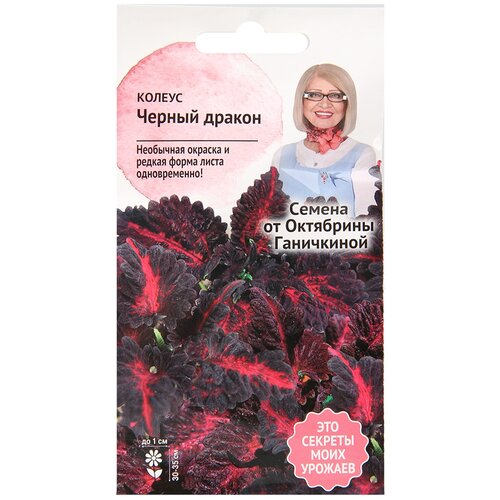 ������ ������ ������ ������ ������ 