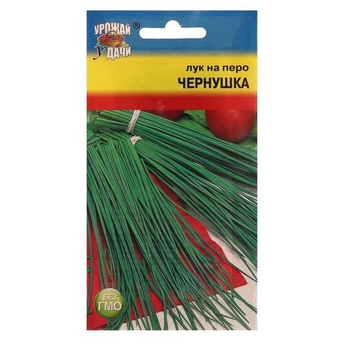 ������ ������ ������ ��� �� ���� 