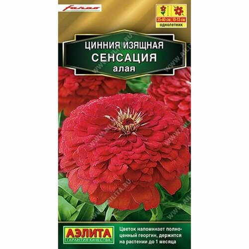 ������ ������ ������ ������ �������� ����, ����������, (������) 12�� Farao ����