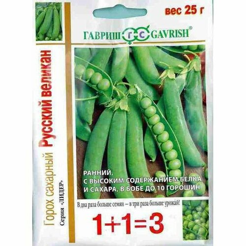 ������ ������ ������ ����� ������� ������� (������) 25� ���1+1 ����