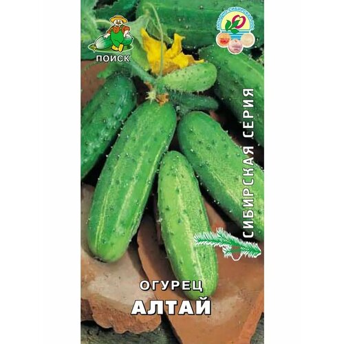 ������ ������ ������ 