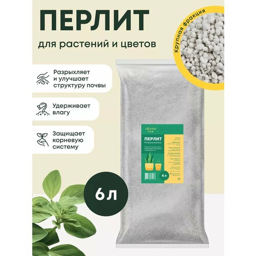 ������ ������ ������ ��������������� 6� ����