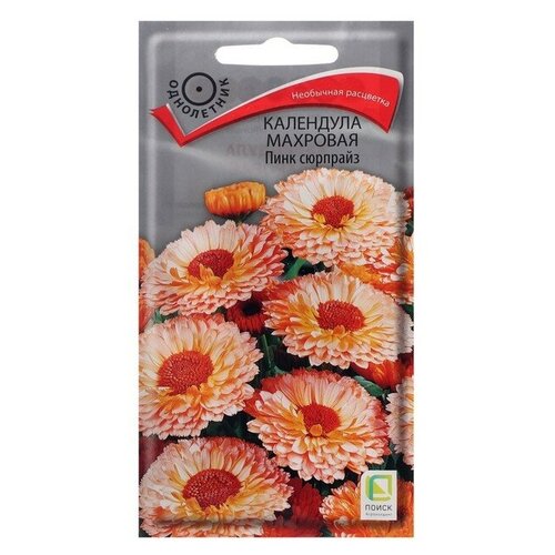 ������ ������ ������ ������ ��������� �������� 