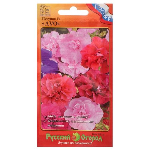 ������ ������ ������. �����. ������� F1 ���, ��������� (12 ����) ����