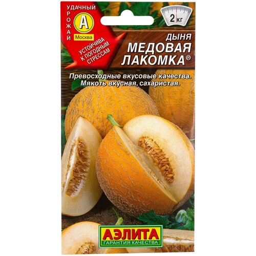 ������ ������ ������ ���� 