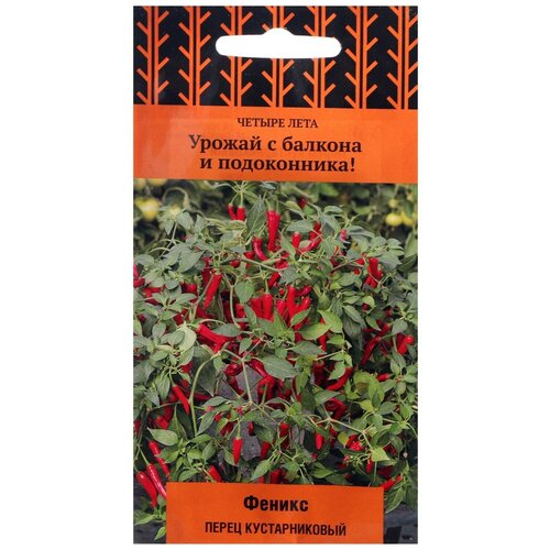 ������ ������ ������ ����� ������ ���� ����� ������������� ������ ������ 5 ��. ����