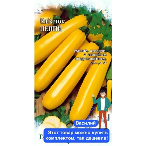 ������ ������ ������ ������ ������ 