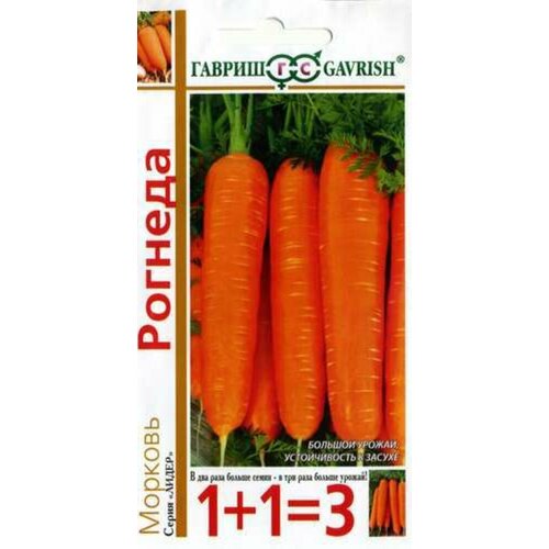 ������ ������ ������ ������� ������� 4� (������) 1+1 ����