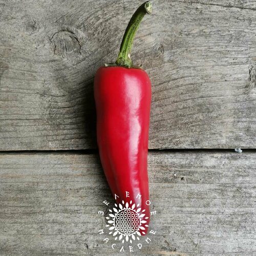 ������ ������ ������ ����� ��������� (���. Capsicum annuum) 15�� �� Green Legacy ����