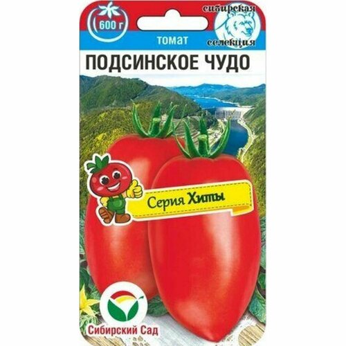 ������ ������ ������ ����� ���������� ���� , ������������, (��������� ���) 20�� ����