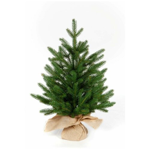 ������ ������ ���� ������������� 