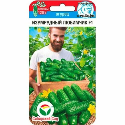 ������ ������ ������ ������ ���������� �������� F1 ����, ������������, (��������� ���) 7�� ����