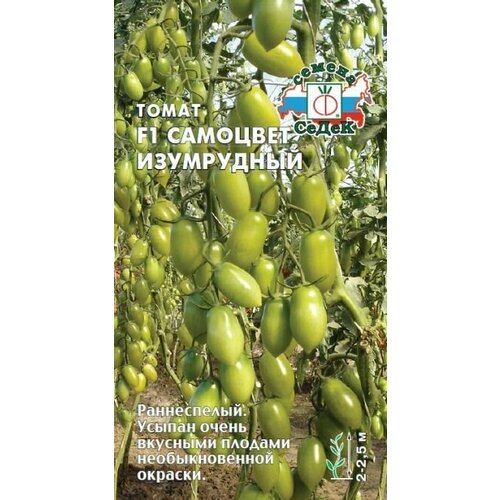 ������ ������ ����� �������� ���������� F1 (3 ��������), ������ ����