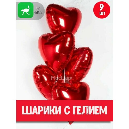 ������ ������ ��������� ���� � ������ ������� 