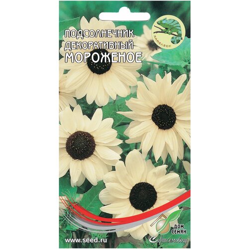 ������ ������ ������������ ������������ �������-����� ���������, 30 ����� ����