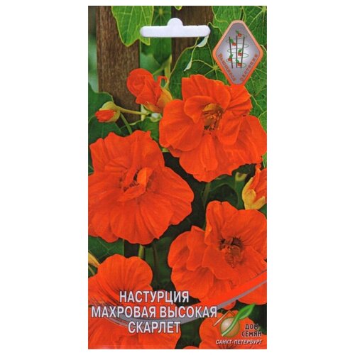 ������ ������ ��������� �������� ������� �������, 9 ����� ����