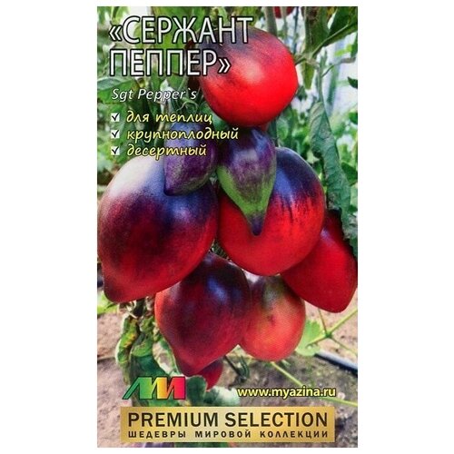 ������ ������ ������ ������ 