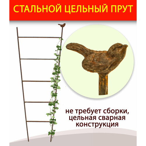 ������ ������ ����� / ������� ��� �������� 