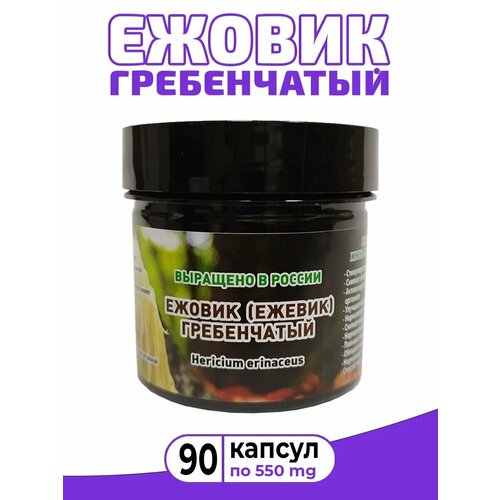 ������ ������ ������ (������) ����������� /���� ������� ����� /Lions mane /�������� 90 ������ �� 550 �� ����