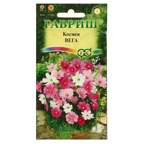 ������ ������ ������ ������ ���� ����-������� �����, 0,5 � ����