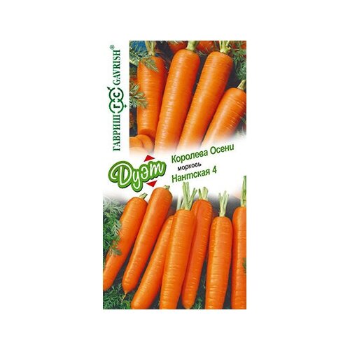 ������ ������ ������. ������� 