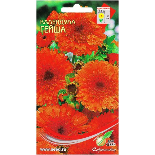 ������ ������ ��������� �����, 20 ����� ����