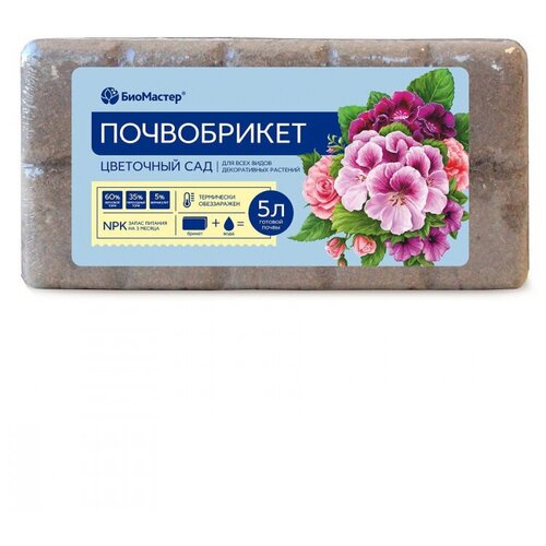 ������ ������ ����������� ��������� ���, 5� ��������� ����