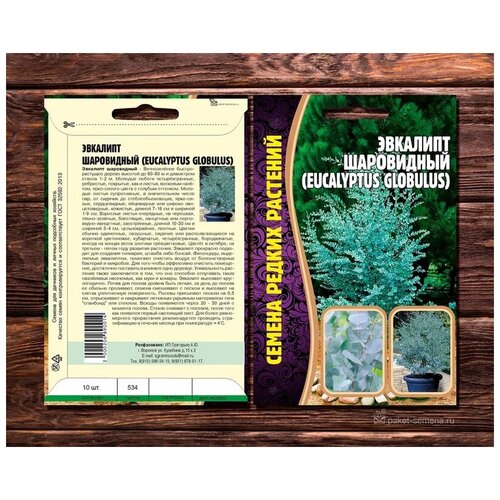 ������ ������ ������ ��������� ����������� (Eucalyptus Globulus) (10 �����) ����