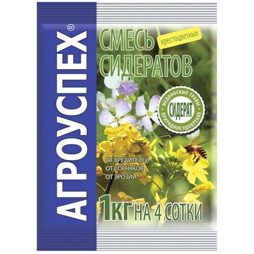 ������ ������ ������ ��������� �������������, 1 ��, 1 �� ����