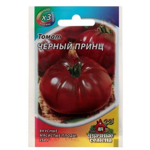 ������ ������ ������ ����� 