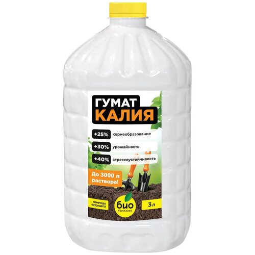 ������ ������ ��������� ���-�������� ����� �����, 3 �, 3000 �, 1 ��. ����