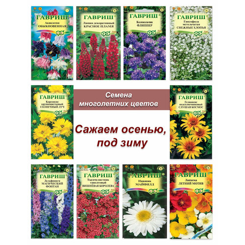 ������ ������ ������ �������������, ����� ����� ����������� ������ ����