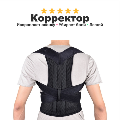 ������ ������ ��������� ������ ������ ��� ����������� ����� Mr.Doctor, �� �������� �� ���������������� ���������, XXL ����