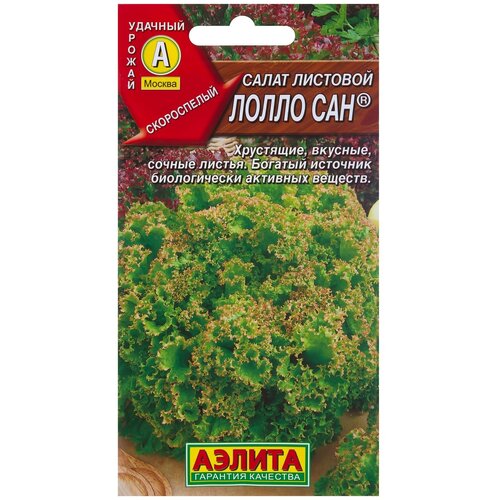 ������ ������ ������ ����� �������� 