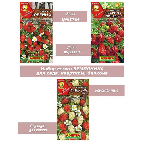 ������ ������ ����� �����, ������ ��������� ��� �����, �����������, ��������, ������� ����