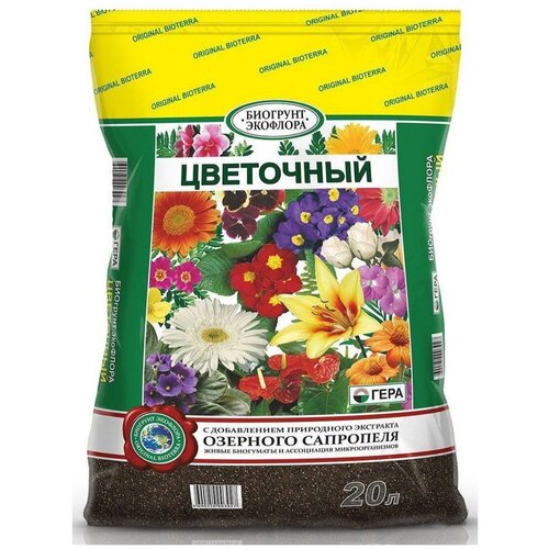 ������ ������ �������� ���� ���������, 20 �, 5.85 �� ����