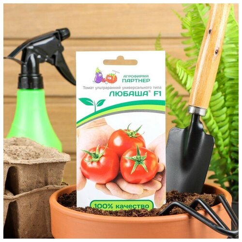 ������ ������ ������ ����� 