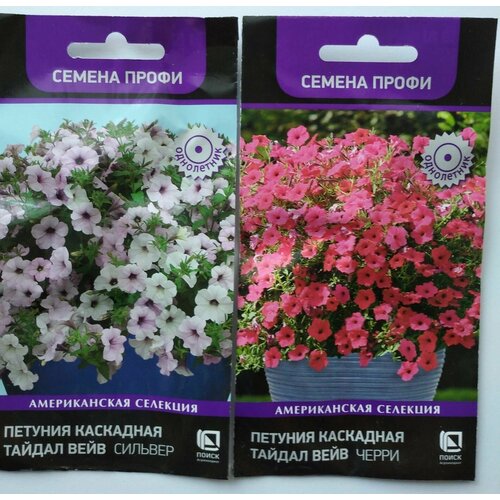 ������ ������ ������ �������: ������ ���� ������� � ����� �� 5�� ����