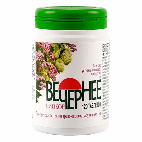 ������ ������ �������� ������ ���., 120 ��. ����