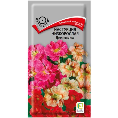 ������ ������ ��������� ����������� ������ ���� 2 � ����