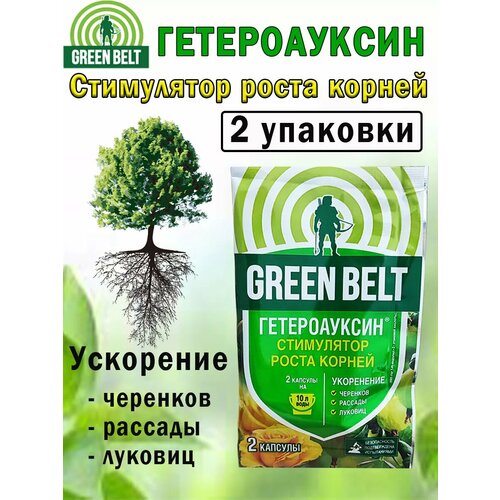 ������ ������ ���������� ������������, 2 ������� ����