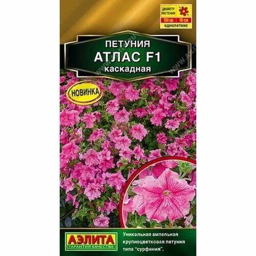 ������ ������ ������ ������� ����� ��������� F1, ����������, (������) 5�� ������� ����� ����